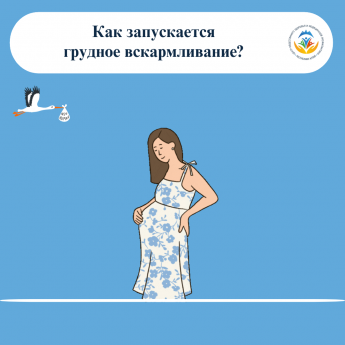 5 августа  