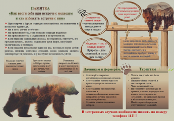 Памятка Встреча с медведем