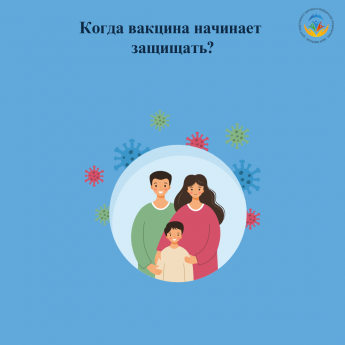 когда вакцина начинает защищать